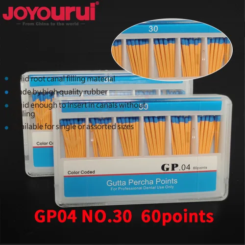GP04-NO.30