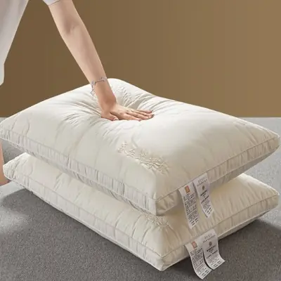 Image de Oreiller de Luxe en Soie de Mûrier - Confort & Hygiène