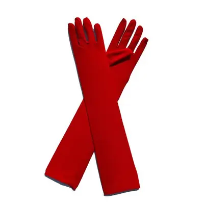 Image de Gants Longs Élégants en Soie de Lait