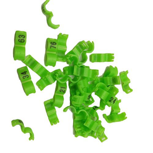 Immagine di 20 Pz Canarino Clip Anello Uccello Piccione Piccolo Pappagallo Gamba Anelli Uccelli Piede Anelli Ucc...