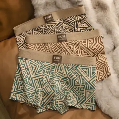 Image de Boxers Homme Respirants & Confortables - Style Américain Imprimé Éthnique