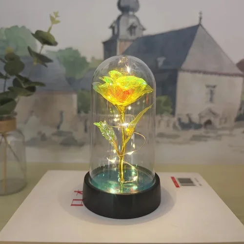 Vue 16 du produit