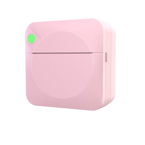 C17 PINK