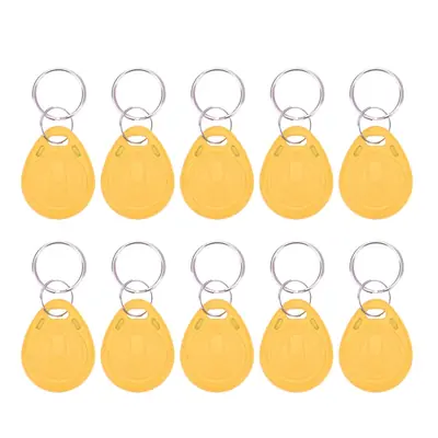 Image de Clé RFID Réinscriptible 125kHz - 10 Pièces
