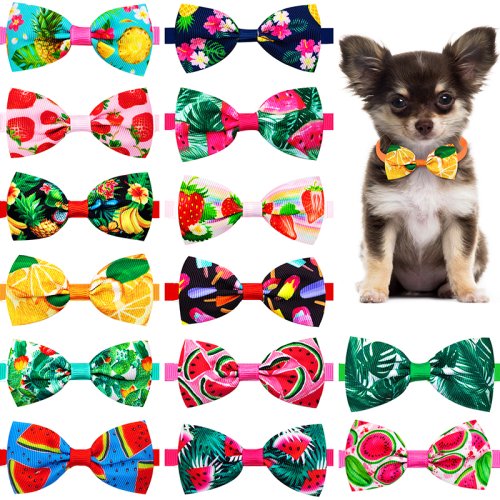 Bild von 10 Stück Sommerfliegen für Hunde und Katzen – Stilvolle Bowties und Krawatten für kleine Haustiere, Welpen & Kleintiere im Obst-Design