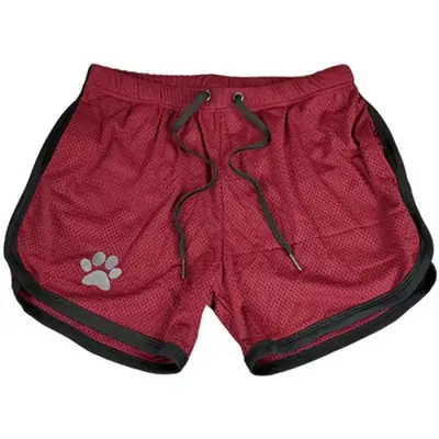 Image de Short de Sport Homme Respirant - Idéal pour Course, Musculation & Jogging