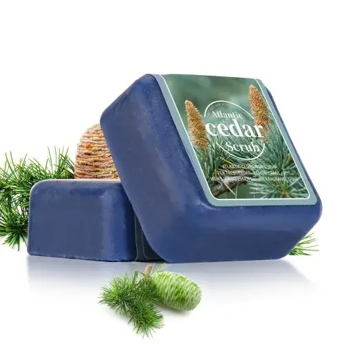 Image de Savon Cèdre Homme - Nettoyant Boisé & Portable