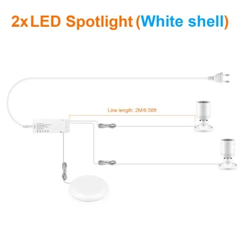 2xSpotlight wit