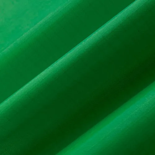 Grüne Schlange