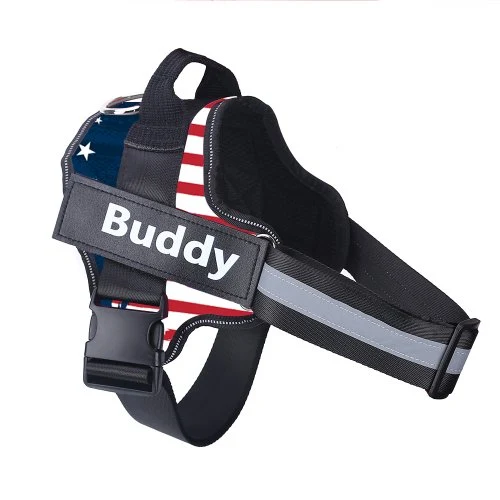 USA