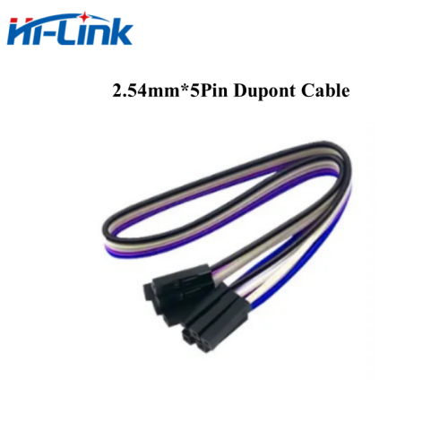 5Pin DuPont wire