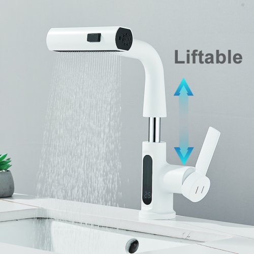 Vue 5 du produit