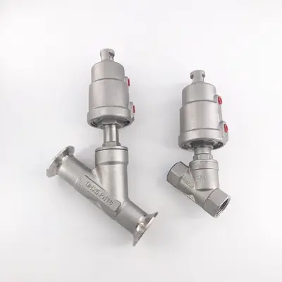 Image de Vanille Pneumatique Inox pour Haute Température