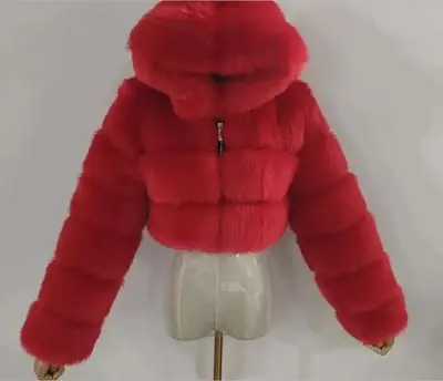 Image de Manteau à Capuche en Fausse Fourrure Femme - Hiver 2024