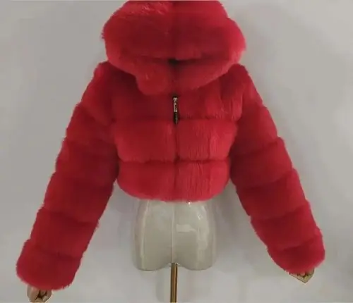 Image de Manteau à Capuche en Fausse Fourrure Femme - Hiver 2024