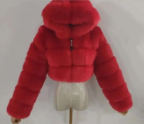 Image de Manteau à Capuche en Fausse Fourrure Femme - Hiver 2024
