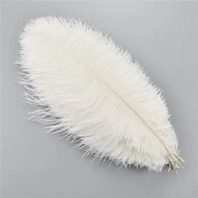 Image de Plumes d'Autruche Colorées - Lot de 10 pour Décoration