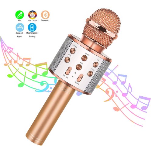 Image de Micro Karaoké Bluetooth Sans Fil - Haut-Parleur & Radio FM