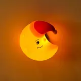 Vue 8 du produit