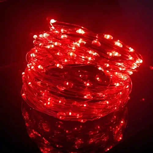 Image de Guirlande LED Féerique 5m - Lumière Magique pour Fêtes & Noël