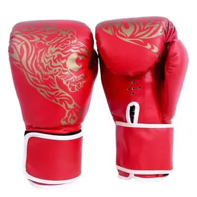 Image de Gants de Boxe Pro - Muay Thai, Sanda & Taekwondo