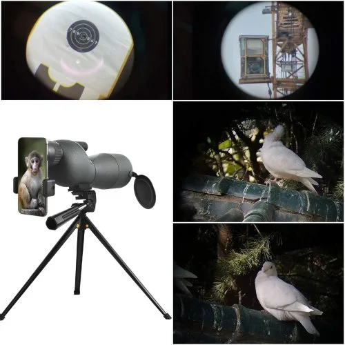 Vue 6 du produit