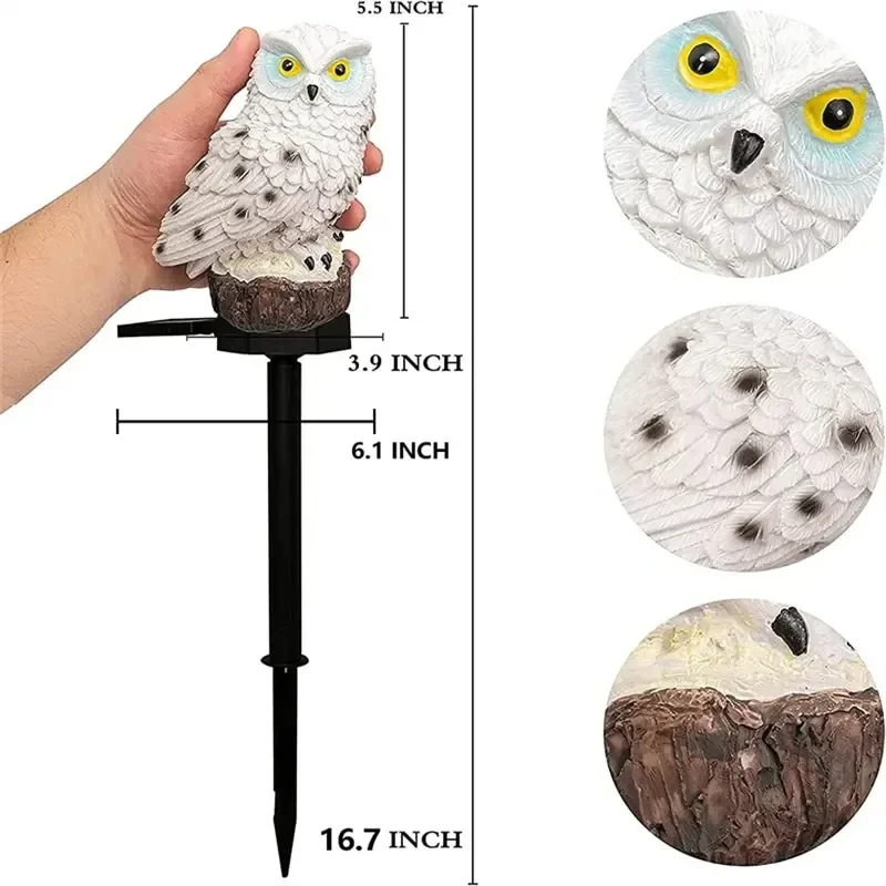 Vue 4 du produit