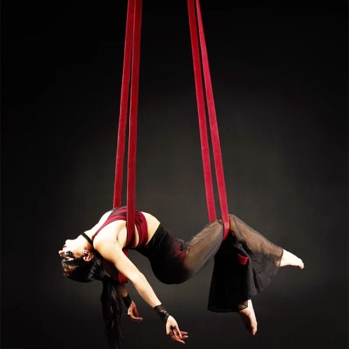 Immagine di Cintura da Sospensione Aerea con Corda da 2 Metri e Doppio Anello – Cinghie per Acrobazie Aeree, Trappola per Anelli e Apparecchi Circo Professionali