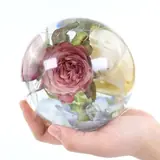 Vue 6 du produit