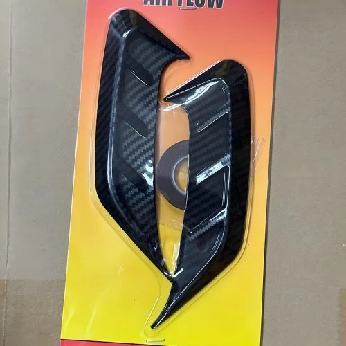 2pc hinten Karbon