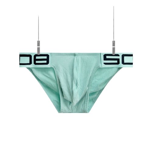 Image de Slip Homme Sport Respirant - Confort & Performance