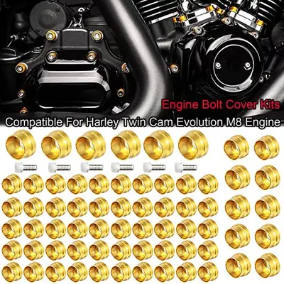 Image de Capuchons de Tête Moteur Moto - Style Harley