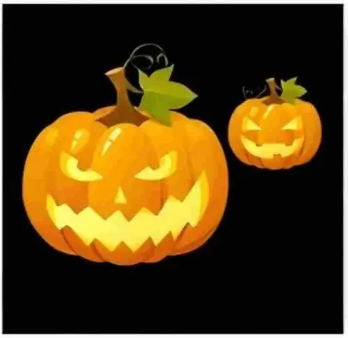 Cucurbit