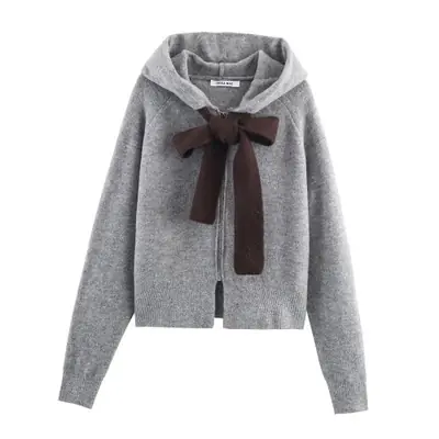 Image de Pull à Capuche Tricoté Style Collège Gris - Tendance Automne-Hiver