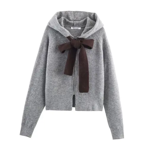 Image de Pull à Capuche Tricoté Style Collège Gris - Tendance Automne-Hiver