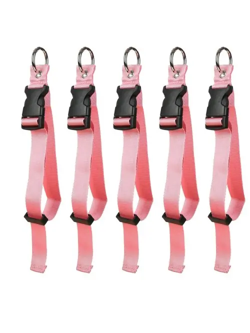 5pcs rose