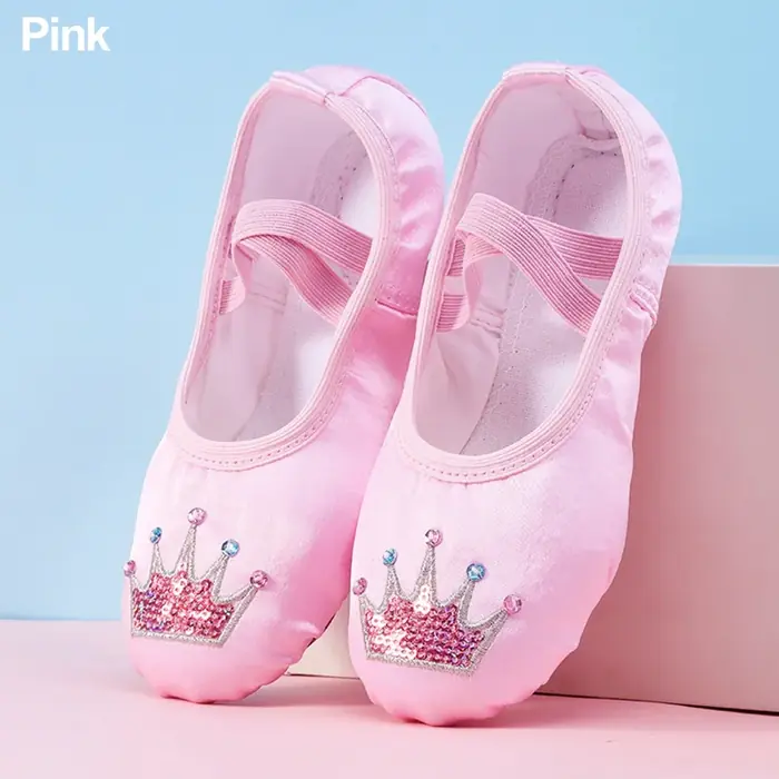 Image de Chaussures de Ballet Princesses Brodées pour Filles