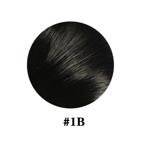 1b