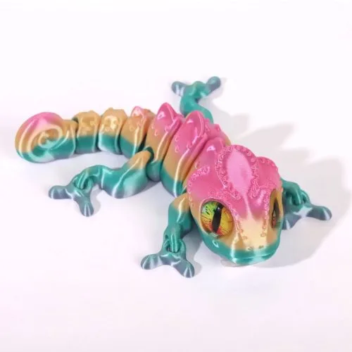 Regenboog