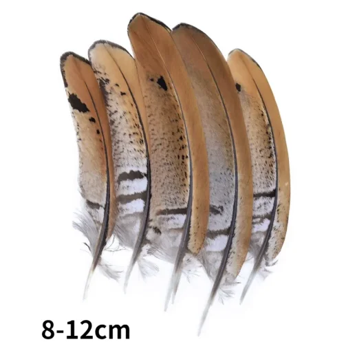 8-12cm