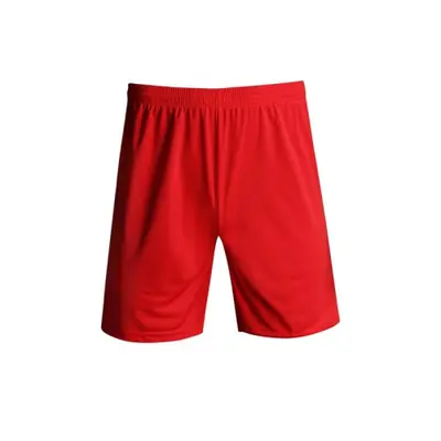 Image de Short de Sport Homme - Confort & Performance