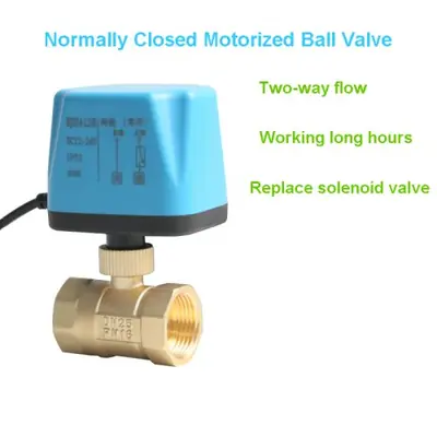 Image de Vanne à Bille Motorisée 220V/12V/24V - Électrovanne En Laiton