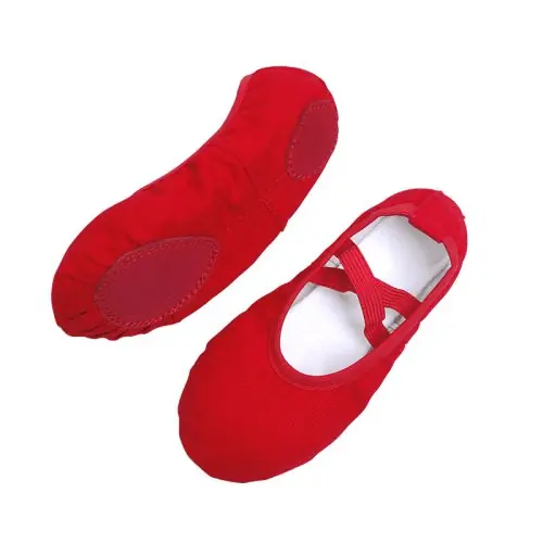 Image de Chaussures de Ballet Souple pour Filles et Femmes