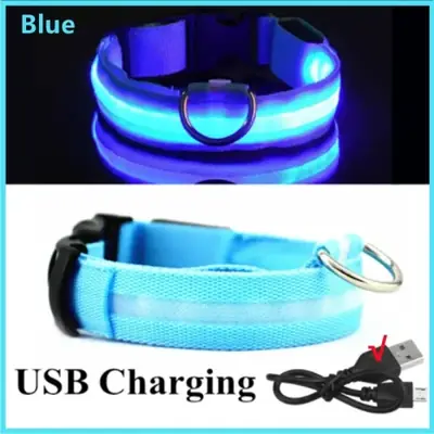 Image de Collier LED Lumineux pour Chien - Sécurité Nuit