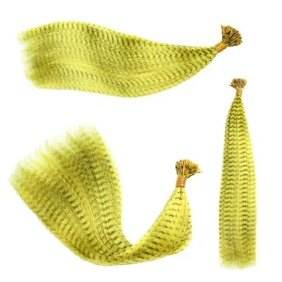 Image de Extensions de Cheveux en Plumes Colorées - 10 Brins, 16 Pouces