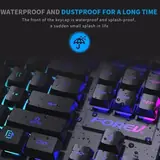 Vue 3 du produit