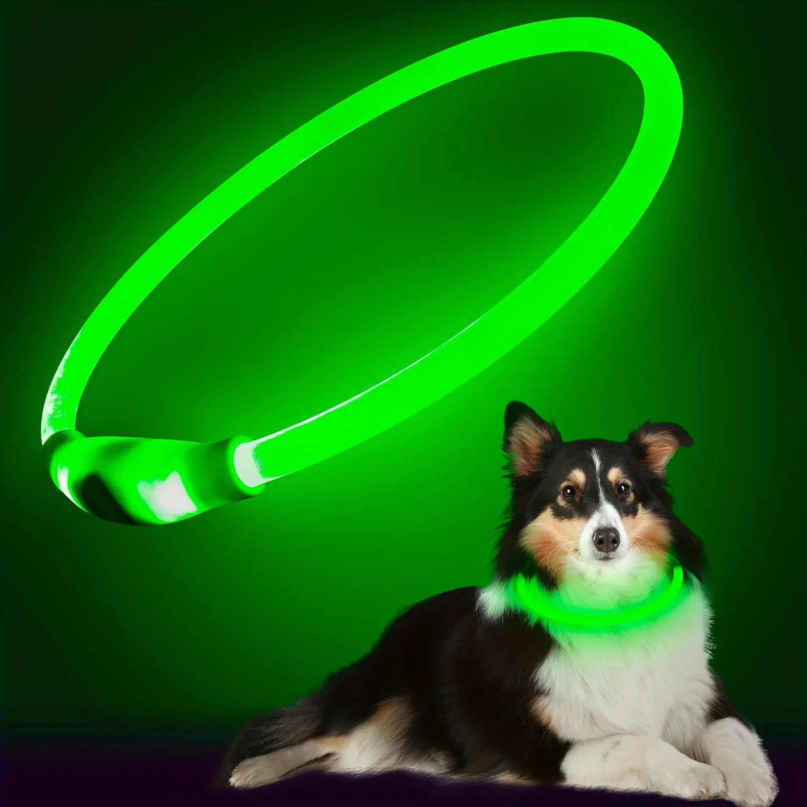 Image de Collier LED Lumineux pour Chien - Anti-Perte & Rechargeable