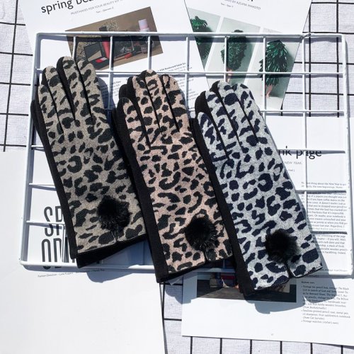 Afbeelding van Elegante Luipaardprint Handschoenen voor Vrouwen - Warme, Lange Vingerhandschoenen met Touchscreen Functie en Seksueel Ontwerp