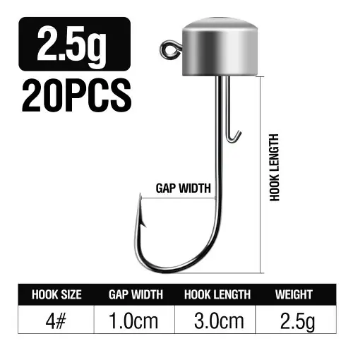 2,5 g