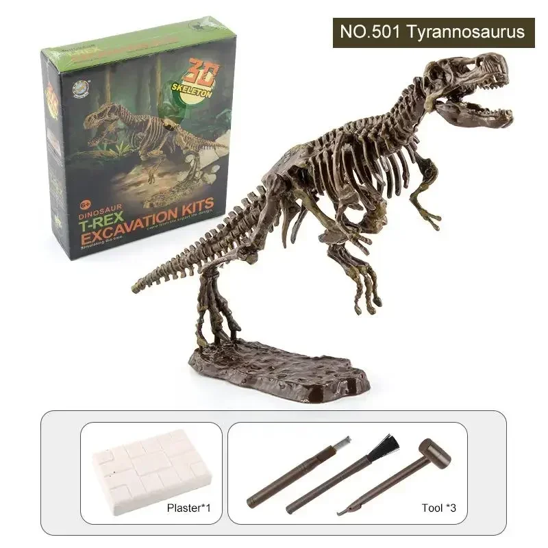 Image de Kit Découverte de Fossiles de Dinosaures - Jeu Éducatif